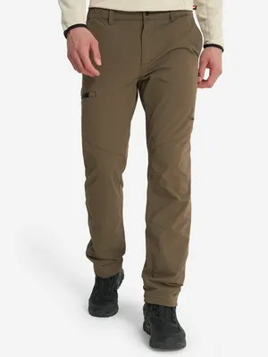 Брюки утепленные мужские Zanier, коричневый, арт. 138720Z08-T3