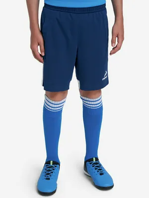 Шорты для мальчиков Demix Playmaker, синий, арт. 120367DMX-MW
