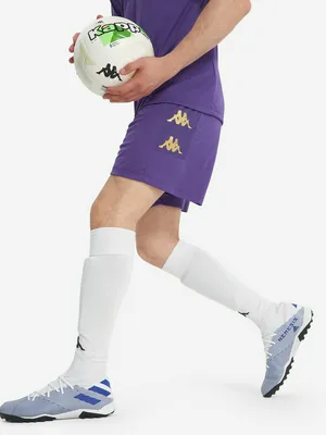 Шорты мужские Kappa, фиолетовый, арт. 351F5XWKAP-A06