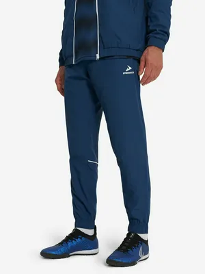 Брюки мужские Demix, синий, арт. 129686DMX-Z3