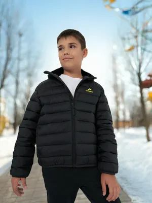 Пуховик Demix для мальчиков, черный, арт. 137539DMX-99