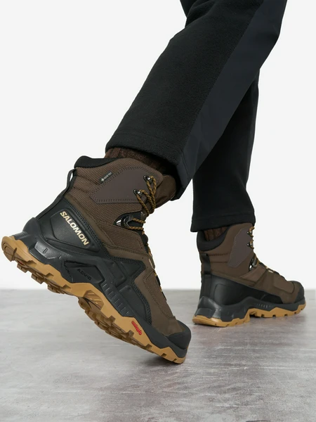 Ботинки Salomon Quest Element GTX, коричневый, арт. l47216100s03-.