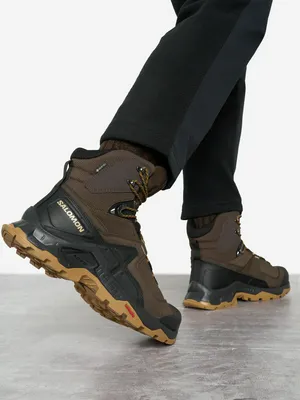Ботинки Salomon Quest Element GTX, коричневый, арт. L47216100S03
