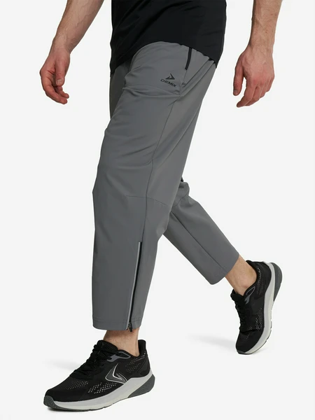 Брюки мужские Demix, серый, арт. 133094dmx-ab