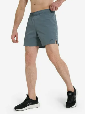 Шорты мужские Athlex, серый, арт. 133111A31-94