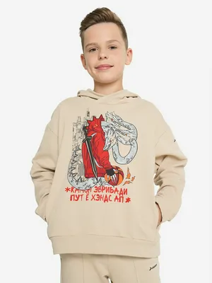 Худи для мальчиков Demix, бежевый, арт. 137713DMX-T1