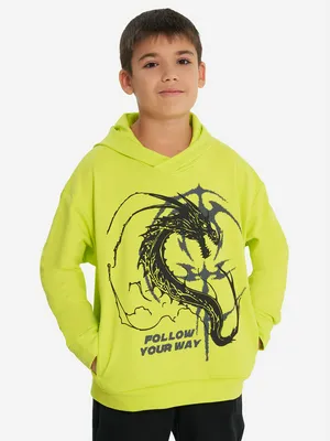 Худи для мальчиков Demix, зеленый, арт. 137705DMX-G2