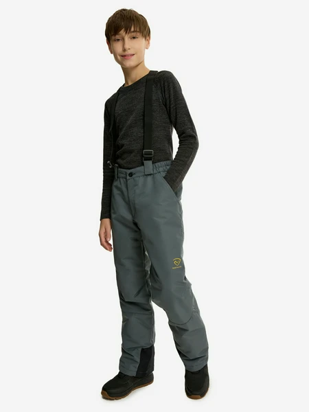 Брюки утепленные для мальчиков Northland, серый, арт. 124431n16-93