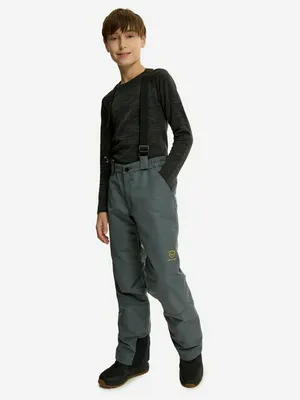 Брюки утепленные для мальчиков Northland, серый, арт. 124431N16-93