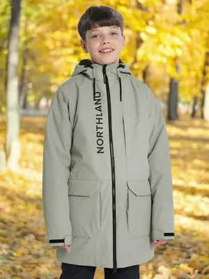 Легкая куртка для мальчиков Northland, бежевый, арт. 136850N16-T0