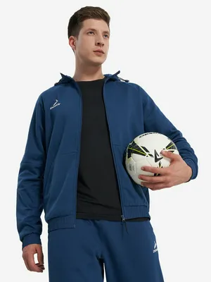 Толстовка мужская Demix, синий, арт. 136281DMX-Z3