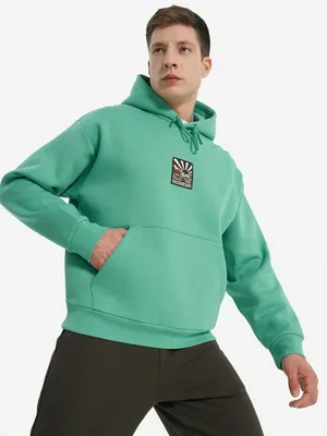 Худи мужское оверсайз Northland, голубой, арт. 138302N16-N1