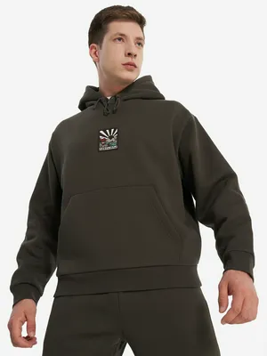 Худи мужское оверсайз Northland, коричневый, арт. 138302N16-T4