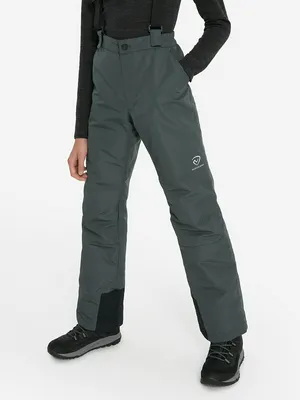 Брюки утепленные для мальчиков Northland, серый, арт. 124431N16-91