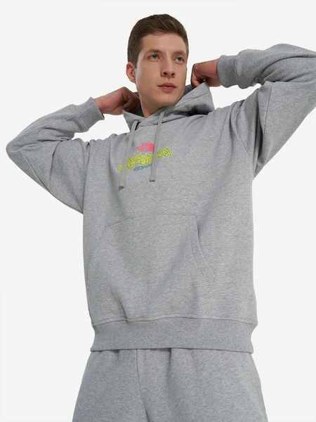 Худи The North Face Expedition Celebration, серый, арт. 27904