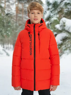 Пуховик для мальчиков Northland, красный, арт. 136862N16-R1
