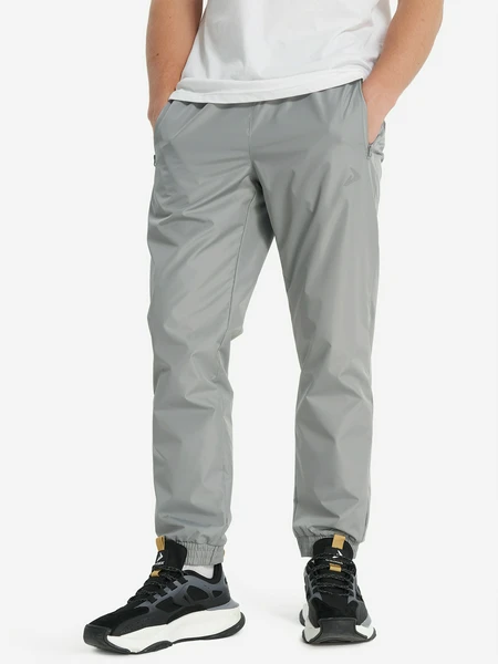 Брюки мужские Demix, синий, арт. 27941