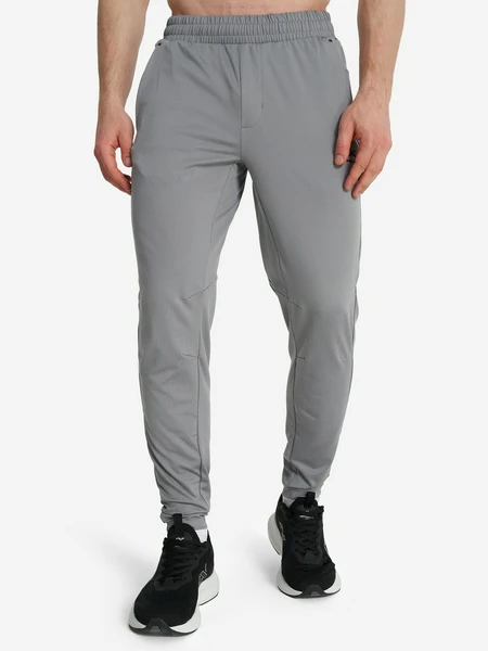 Брюки мужские Athlex, серый, арт. 125452a31-92