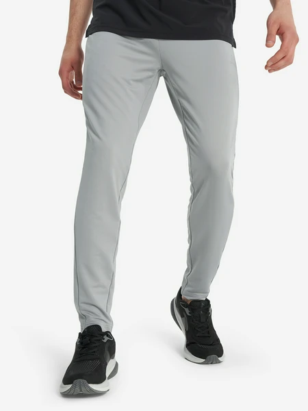 Брюки мужские Demix, серый, арт. 132767dmx-94