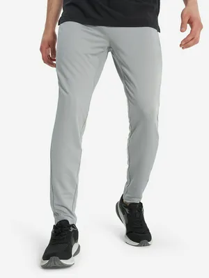 Брюки мужские Demix, серый, арт. 132767DMX-94