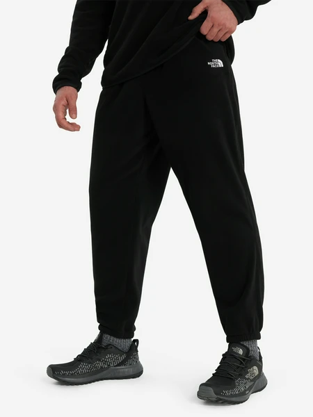 Флисовые брюки The North Face Glacier, черный, арт. 28148