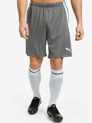 Шорты PUMA teamLIGA, серый, арт. 704924P0P-13