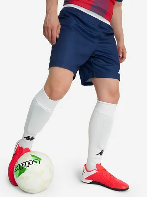 Шорты мужские Kappa, синий, арт. 32238PWKAP-XMT