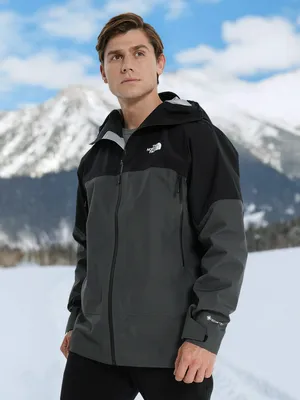 Куртка мембранная The North Face Jazzi 3 L Gtx, серый, арт. NF0A8976WUO1T1K