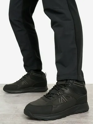 Ботинки утепленные Geox U Terrestre B ABX, черный, арт. 28692