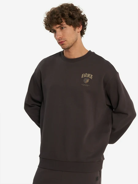 Свитшот мужской Erke, серый, арт. 10225302191e1m-805