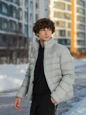 Пуховик мужской Demix, серый, арт. 136291DMX-95