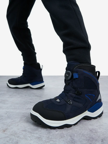 Ботинки утепленные Ecco Snow Mountain, черный, арт. 29583