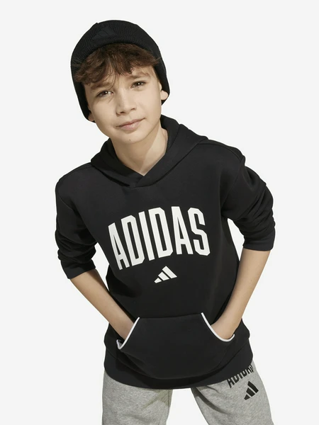 Худи для мальчиков Adidas, черный, арт. 29756
