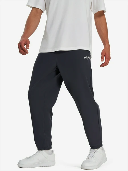 Брюки мужские 361°, серый, арт. t552539702361-2w