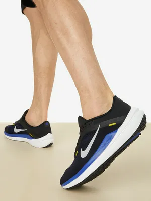 Кроссовки мужские Nike Air Winflo 10, черный, арт. DV4022N06-005