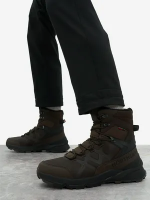 Ботинки утепленные мужские Northland Frost 400 Term, коричневый, арт. 135665N16-T3