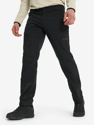 Брюки мужские Zanier, черный, арт. 137483Z08-99