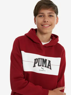 Худи PUMA ESS+ Block, красный, арт. 682775p0p-13