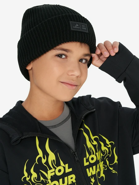 Шапка для мальчиков Demix, черный, арт. 123349dmx-99