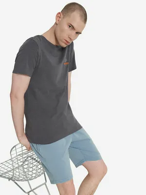 Футболка мужская Protest, серый, арт. 31563