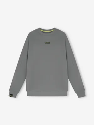 Свитшот мужской Kappa, серый, арт. 140636KAP-93