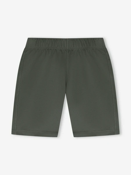 Шорты мужские GSD, коричневый, арт. 142784g17-64