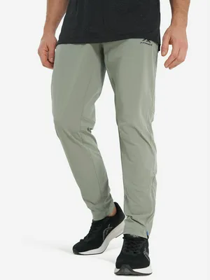 Брюки мужские Athlex, серый, арт. 142032A31-91