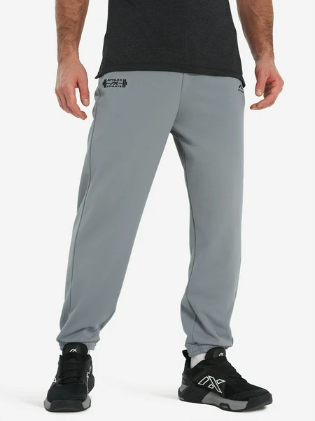 Брюки мужские Athlex, серый, арт. 139983a31-92