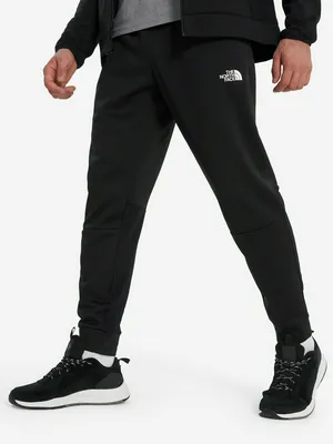 Брюки флисовые мужские The North Face Mountain Athletics, черный, арт. 33267