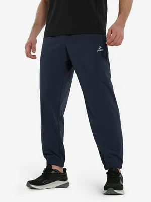 Мужские брюки Demix Джоггеры, серый, арт. 136123DMX-97