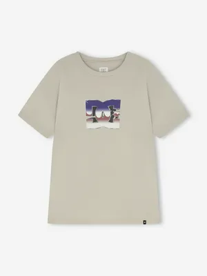 Футболка DC Shoes Metallic Star, бежевый, арт. ADYZT05442D12-SGB0