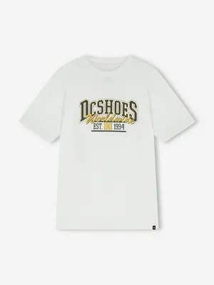 Футболка мужская DC Shoes Tailgate, белый, арт. ADYZT05447D12-WBB0