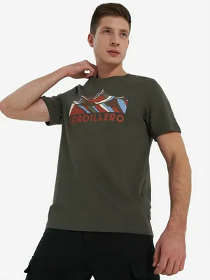 Футболка Cordillero, зеленый, арт. 146419C37-G4