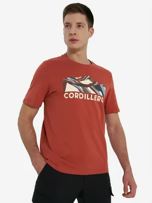 Футболка мужская Cordillero, оранжевый, арт. 146419C37-53